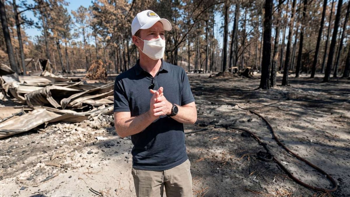 Man in a white cap and face mask stands in a burned, charred forest with debris on the ground.